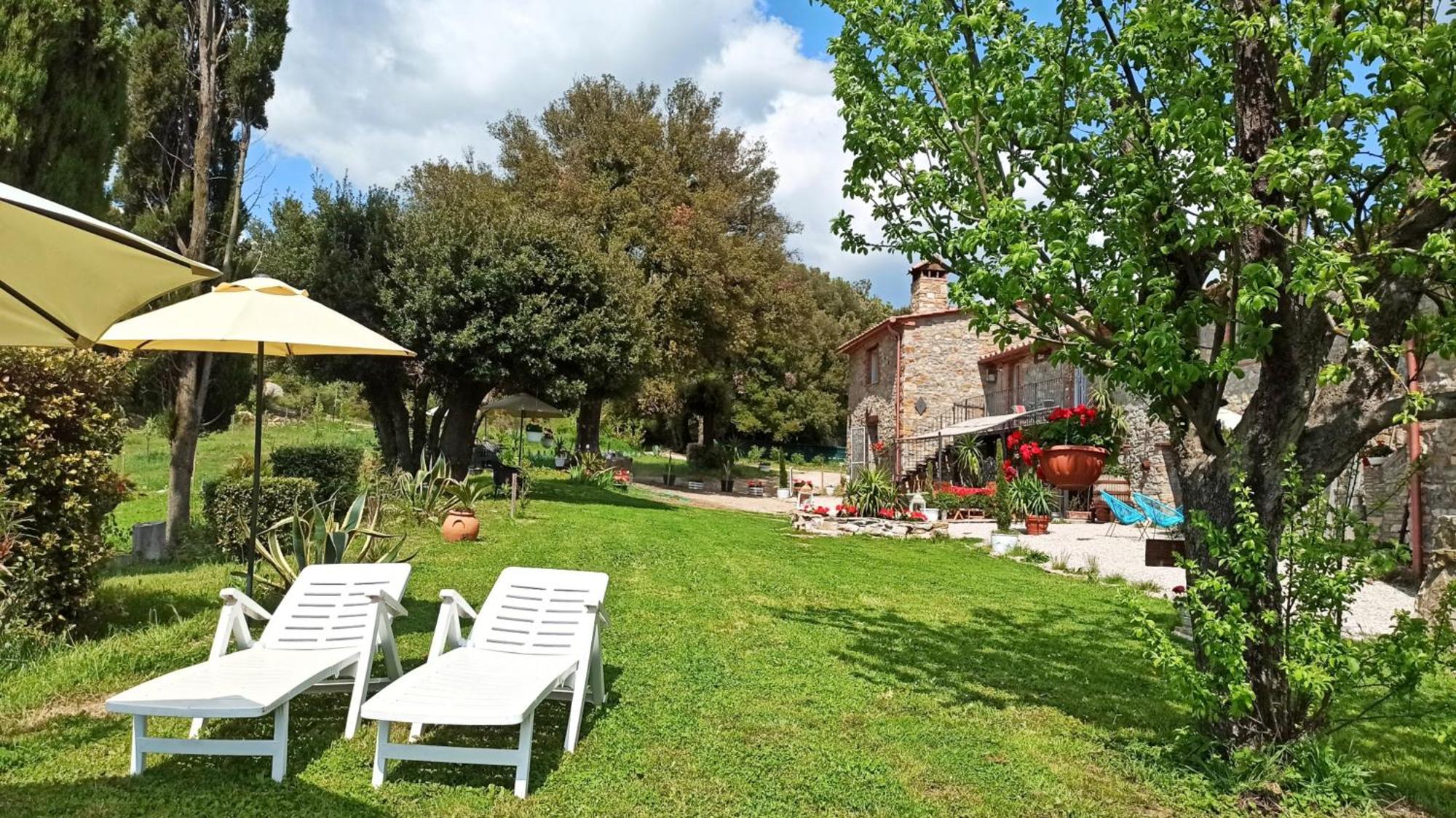 Agriturismo Podere Le Palaie Monterotondo  Habitación foto
